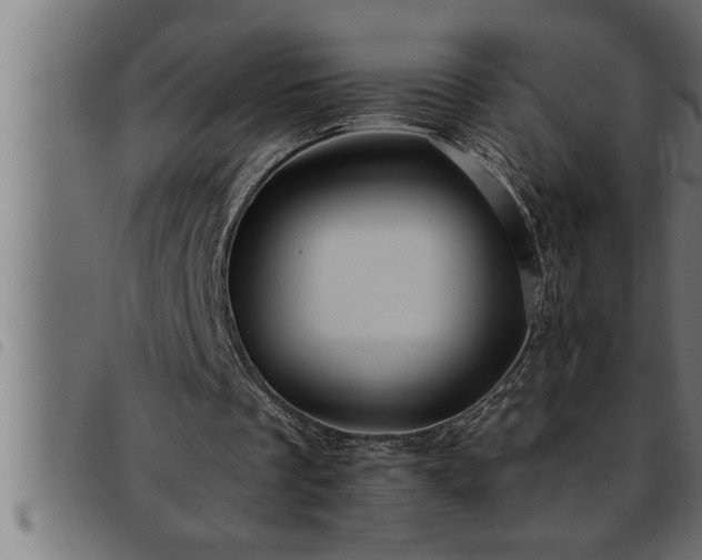 X0000093490289200710121512