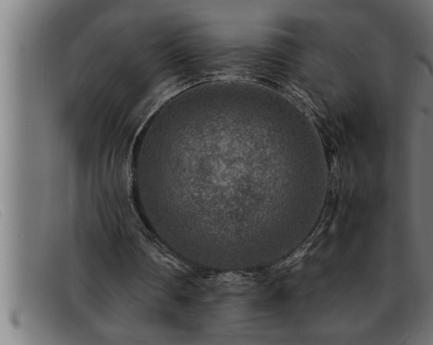 X0000093490290200710121512