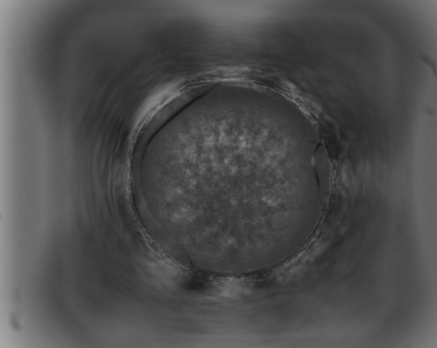 X0000093490293200710121512