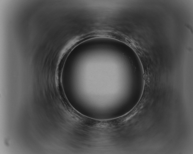 X0000093490294200710121512