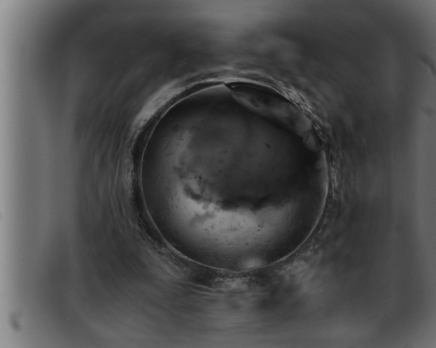 X0000093490295200710121512