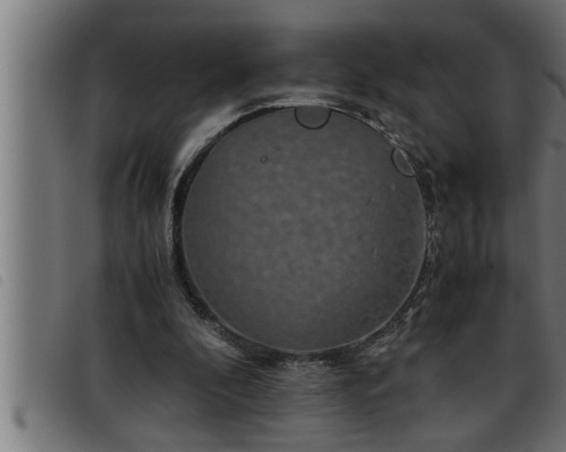 X0000093490296200710121512