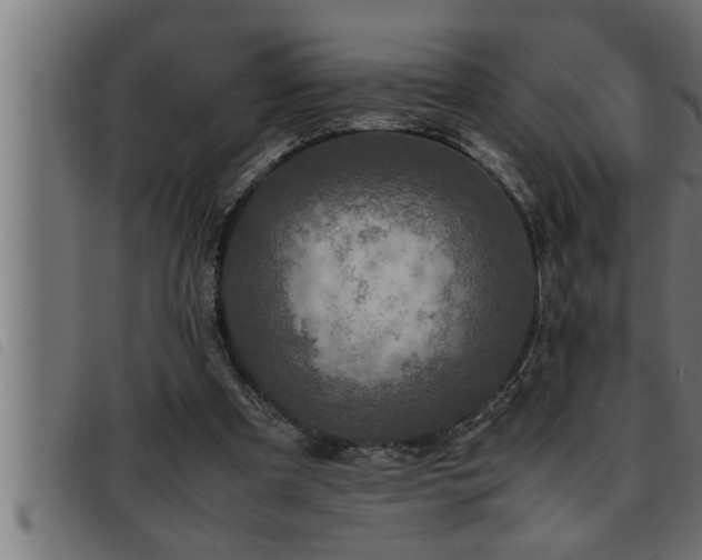 X0000093490297200710121512