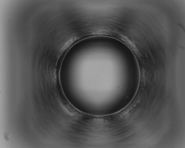 X0000093490298200710121512