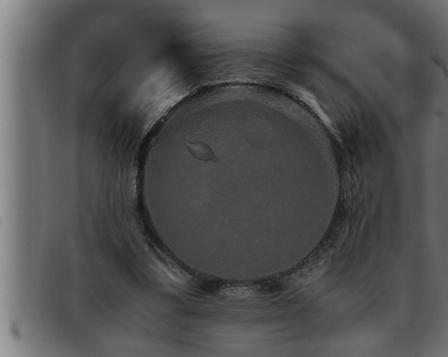 X0000093490299200710121512