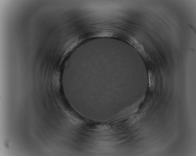 X0000093490300200710121512