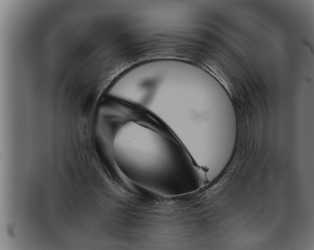 X0000093490301200710121512