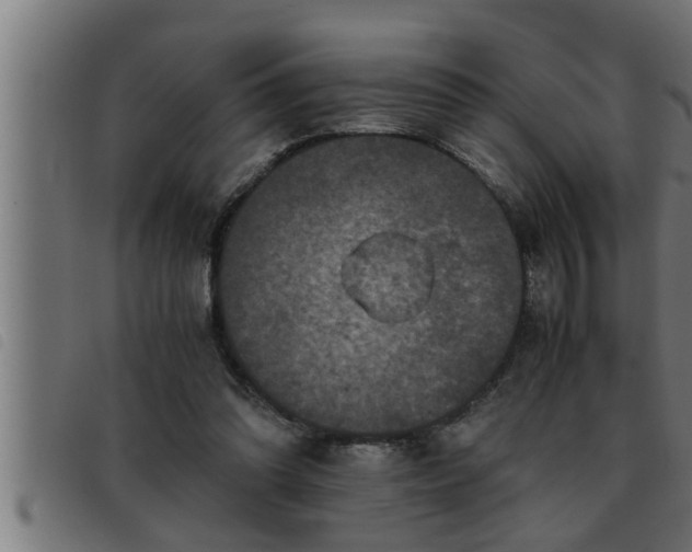 X0000093490302200710121512