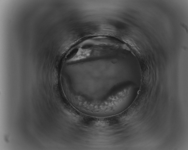X0000093490303200710121512