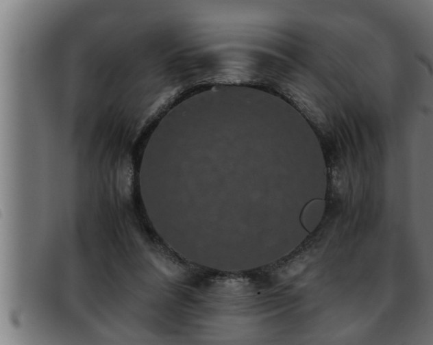X0000093490304200710121512