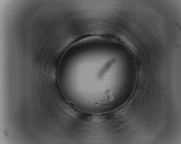 X0000093490305200710121512