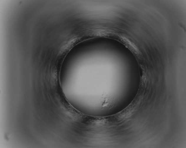 X0000093490306200710121512