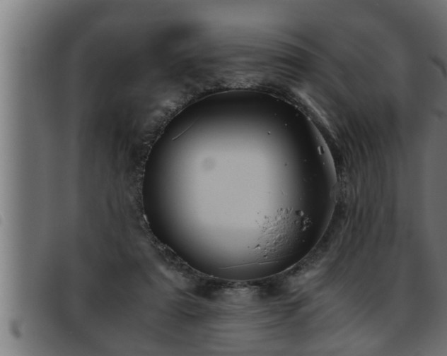 X0000093490307200710121512