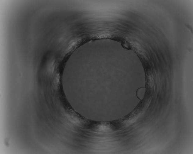 X0000093490308200710121512