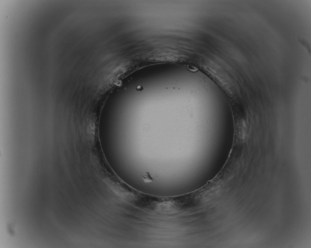 X0000093490309200710121512