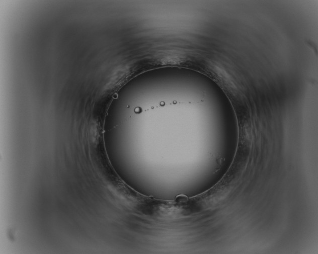 X0000093490311200710121512