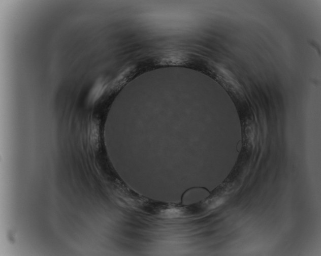 X0000093490312200710121512