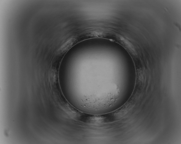 X0000093490313200710121512