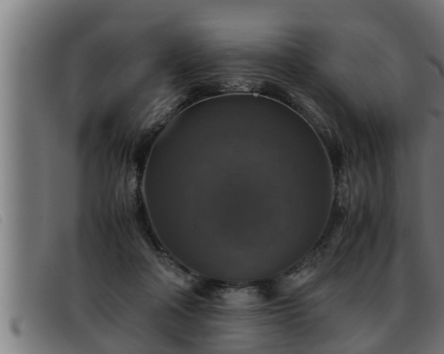 X0000093490314200710121512