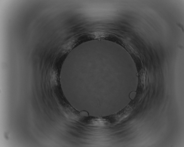 X0000093490316200710121512