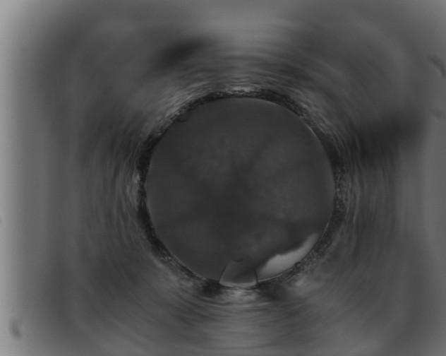 X0000093490319200710121512
