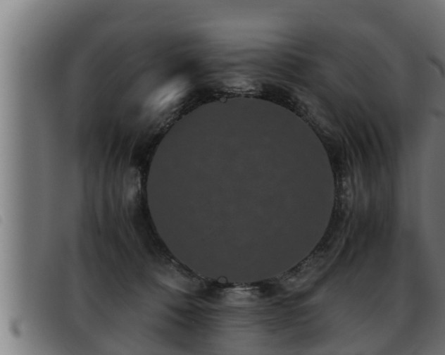 X0000093490320200710121512