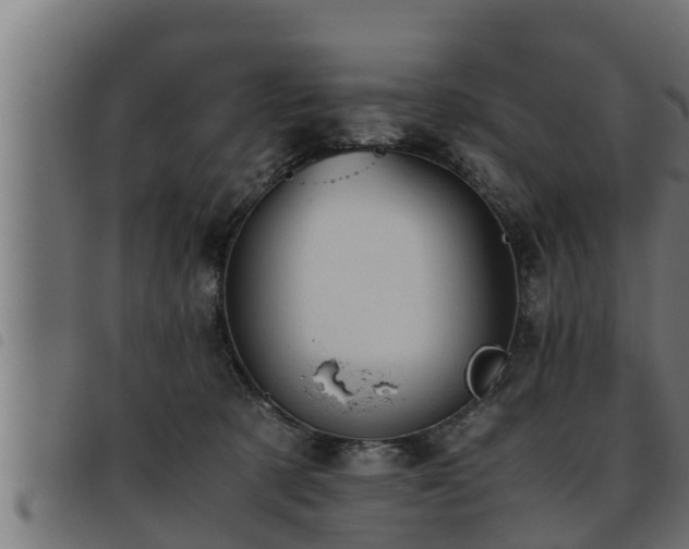 X0000093490321200710121512