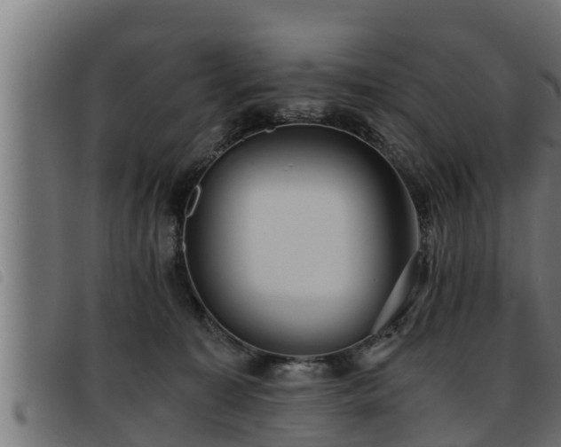 X0000093490323200710121512