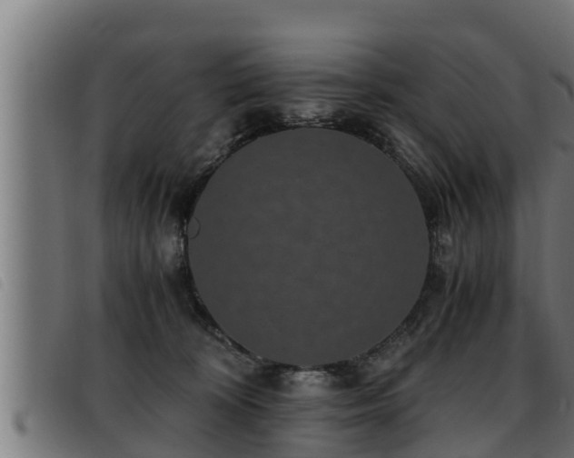 X0000093490324200710121512
