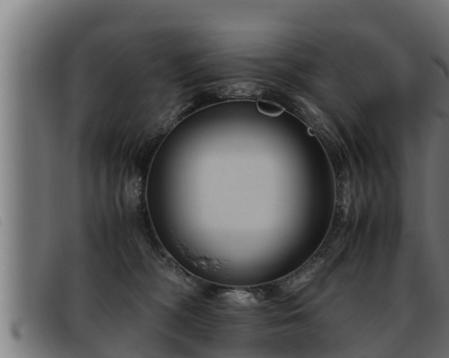 X0000093490326200710121512
