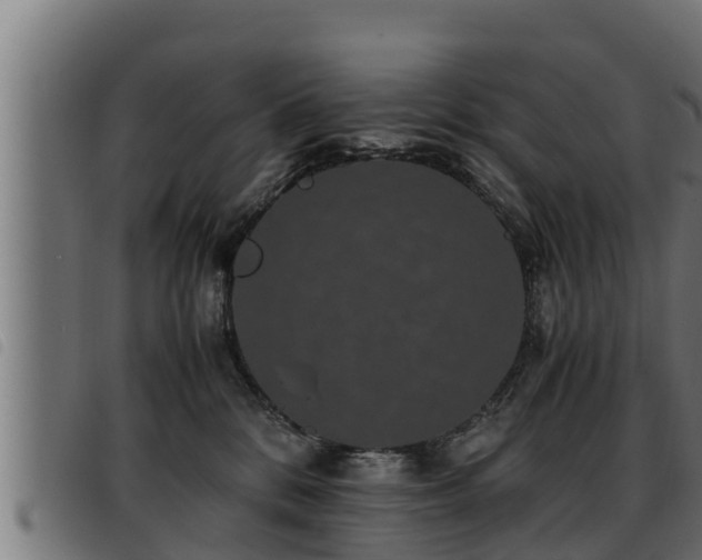 X0000093490328200710121512