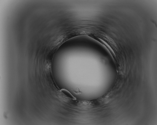 X0000093490329200710121512