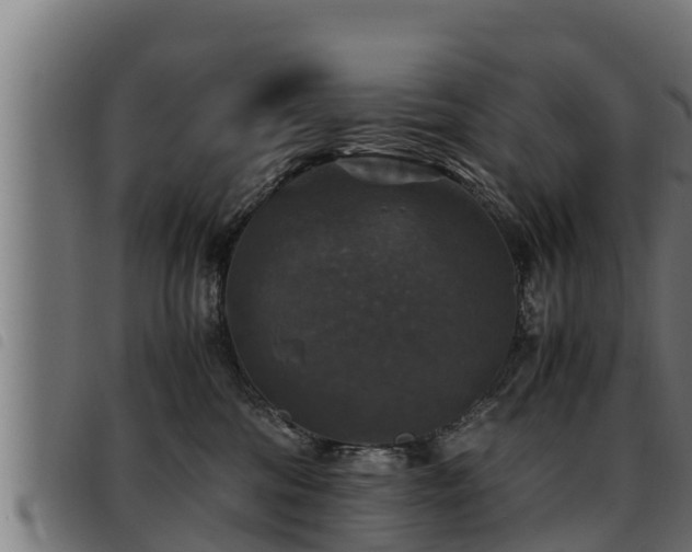 X0000093490330200710121512