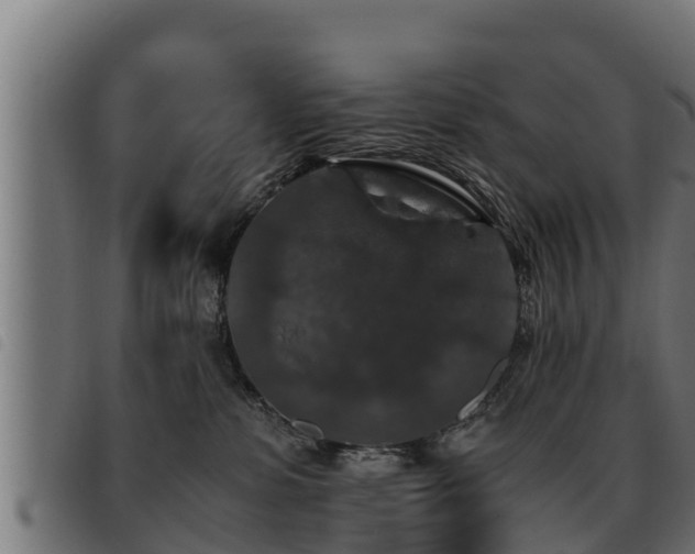 X0000093490331200710121512