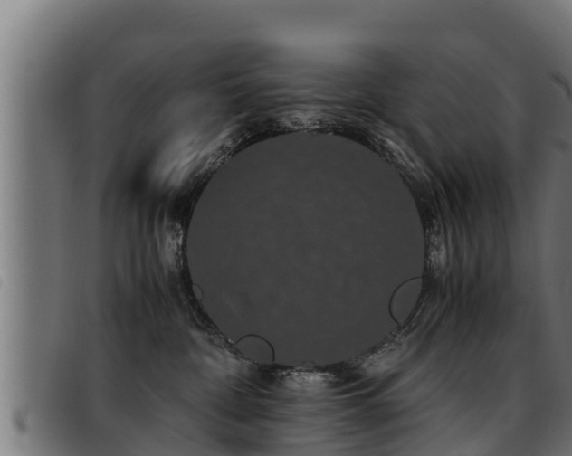 X0000093490332200710121512