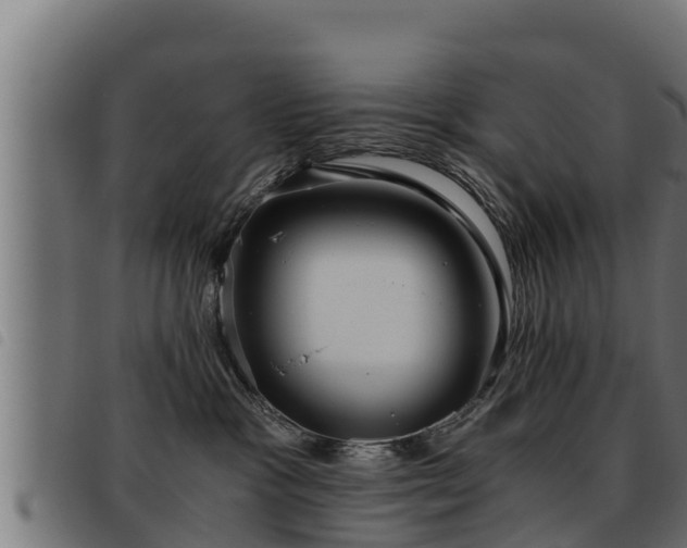 X0000093490333200710121512