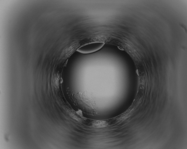 X0000093490334200710121512