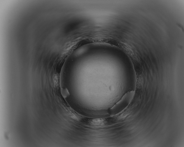 X0000093490335200710121512