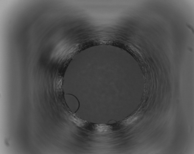 X0000093490336200710121512