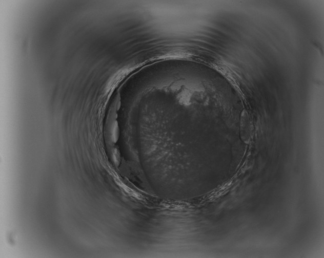 X0000093490337200710121511