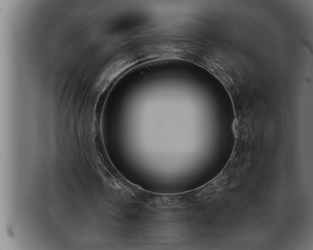 X0000093490338200710121511