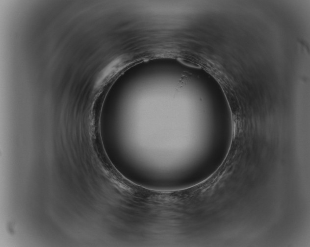 X0000093490339200710121511