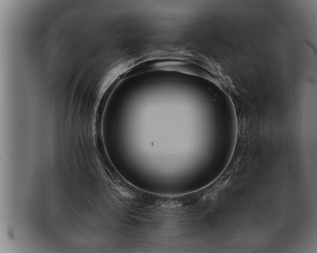 X0000093490340200710121511