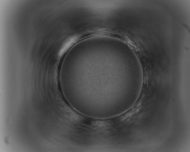 X0000093490341200710121511
