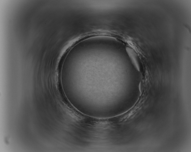X0000093490342200710121511