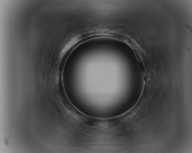 X0000093490344200710121511