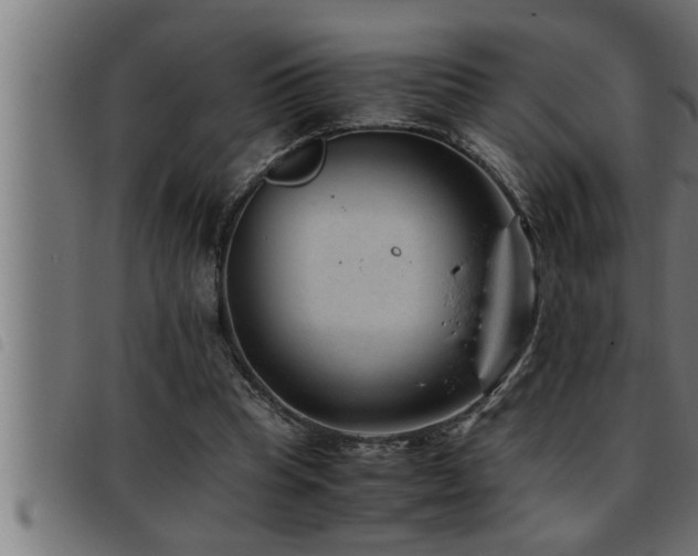 X0000093490345200710121511