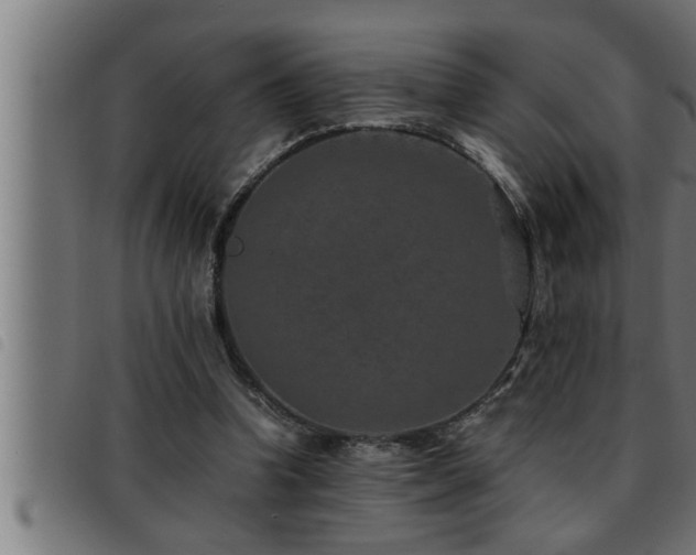 X0000093490346200710121511