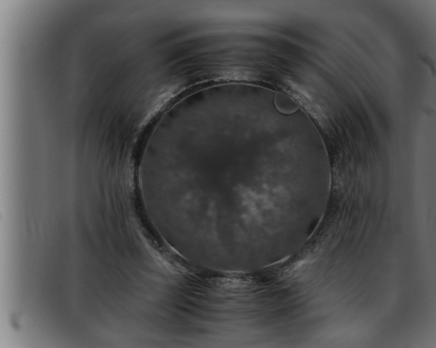 X0000093490347200710121511