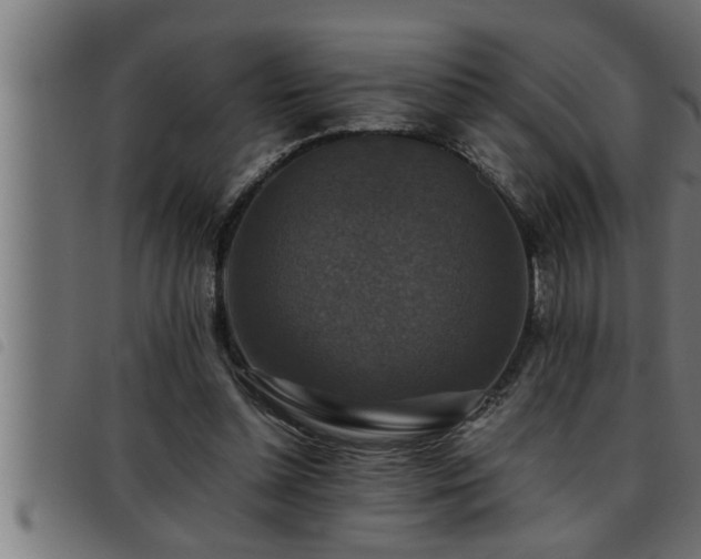 X0000093490348200710121511